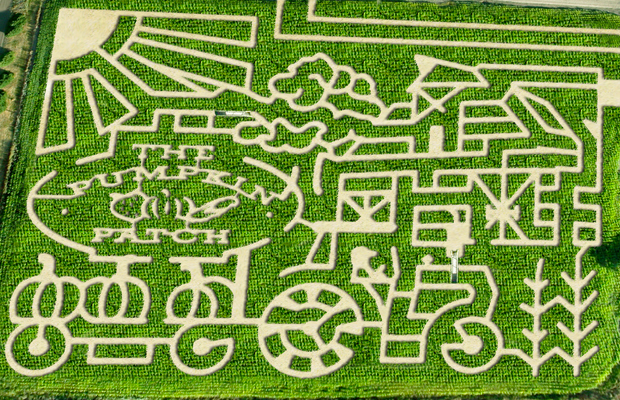 haunted corn maze in portland