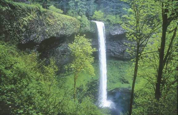 Hike Silver Falls State Park Oregon Com