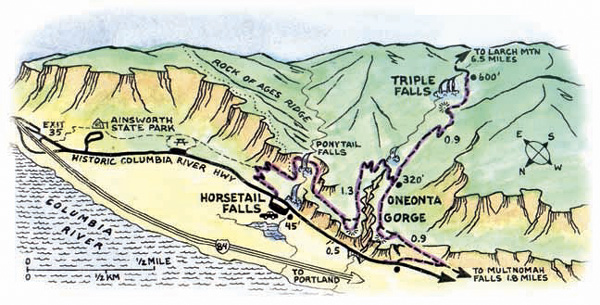 Oneonta Map