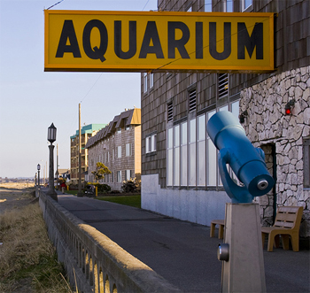 The Seaside Aquarium