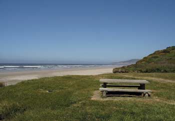 The skies are blue over Agate Beach at Seven Devils Wayside near Bandon. The park and rest area provides patrons with an excellent location for a picnic on sunny summer days.
