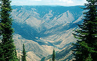 The Snake River From Hat Point, OR © Photo courtesy Janet Dodson
